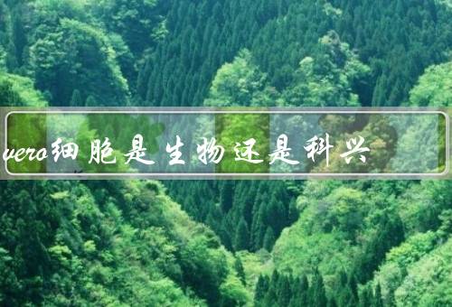 vero细胞是生物还是科兴