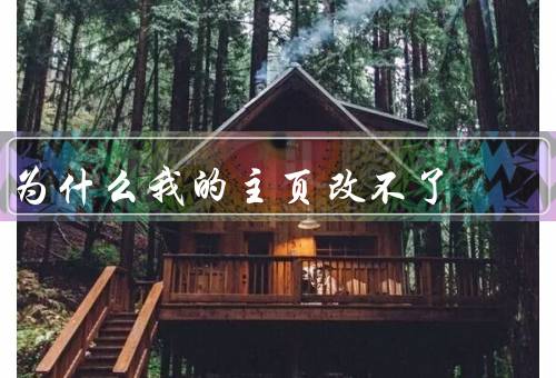 为什么我的主页改不了