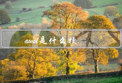 awsl是什么梗