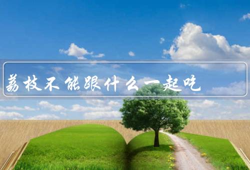 荔枝不能跟什么一起吃