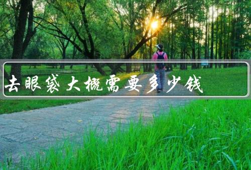 去眼袋大概需要多少钱