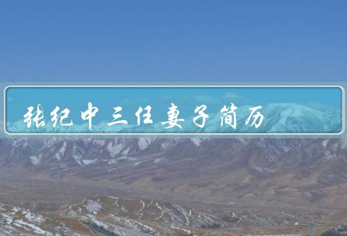 张纪中三任妻子简历