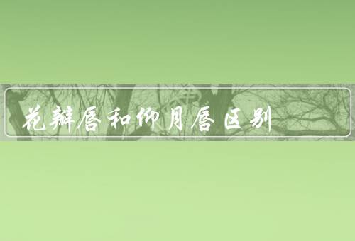 花瓣唇和仰月唇区别