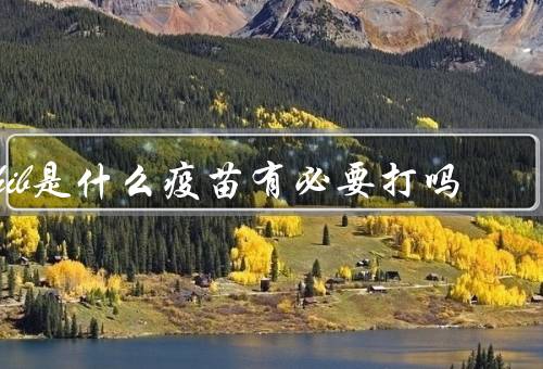 hib是什么疫苗有必要打吗，要打（预防脑膜炎／肺炎）