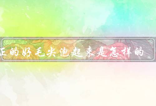 真正的好毛尖泡起来是怎样的