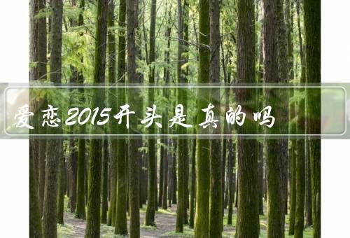 爱恋2015开头是真的吗