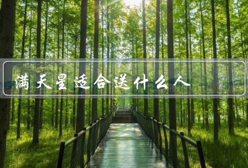 满天星适合送什么人