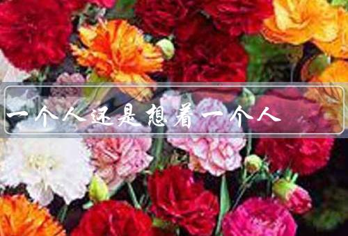 一个人还是想着一个人