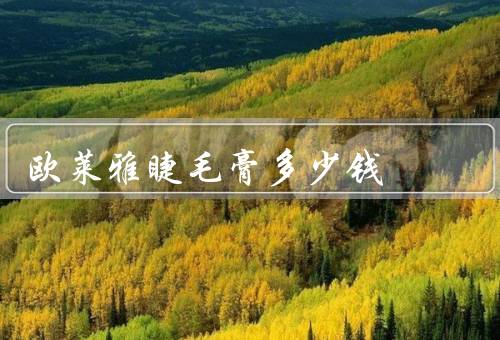 欧莱雅睫毛膏多少钱