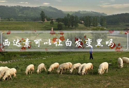 曲西达素可以让白发变黑吗