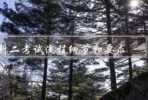 科二考试流程细节和要求