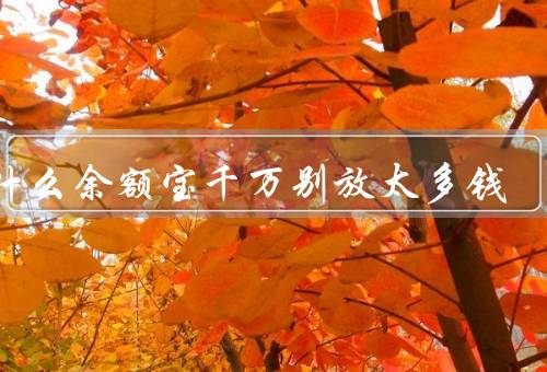 为什么余额宝千万别放太多钱