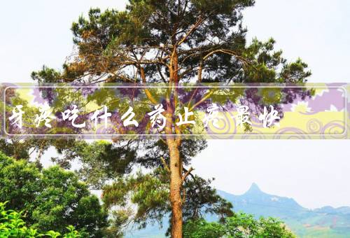 牙疼吃什么药止疼最快
