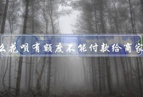 为什么花呗有额度不能付款给商家