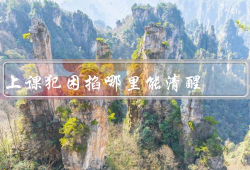 上课犯困掐哪里能清醒