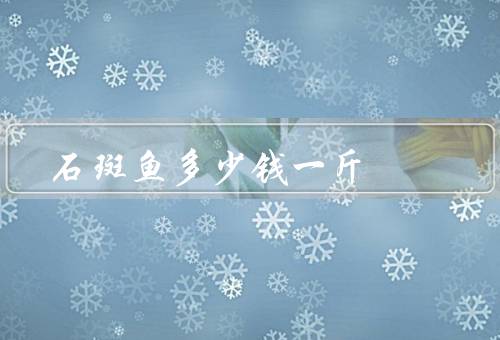 石斑鱼多少钱一斤