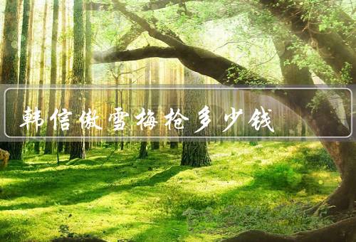 韩信傲雪梅枪多少钱