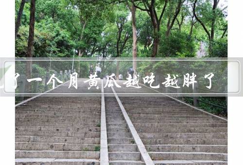 吃了一个月黄瓜越吃越胖了