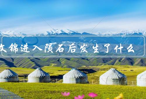 陈文锦进入陨石后发生了什么
