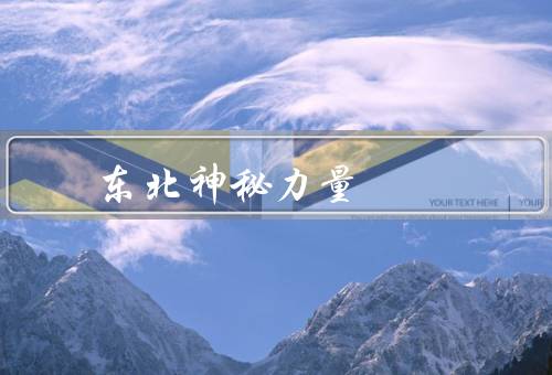 东北神秘力量 黄桃罐头的功效，丰富营养／促进消化／滋养肌肤
