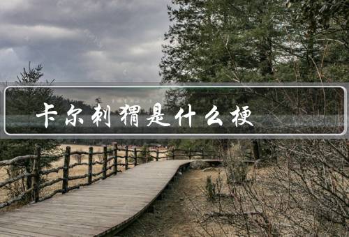 卡尔刺猬是什么梗