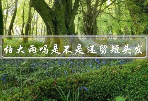 你害怕大雨吗是不是还留短头发