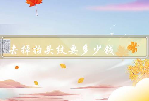 去掉抬头纹要多少钱