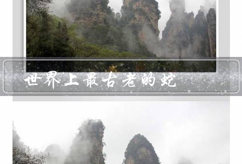 世界上最古老的蛇