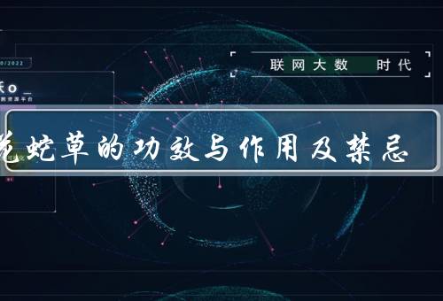 白花蛇草的功效与作用及禁忌
