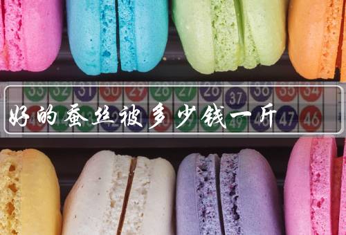 好的蚕丝被多少钱一斤