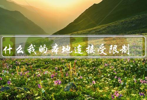 为什么我的本地连接受限制