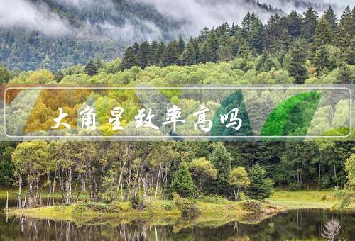 大角星致率高吗