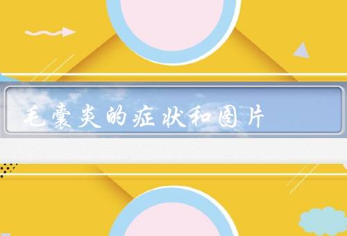 毛囊炎的症状和图片