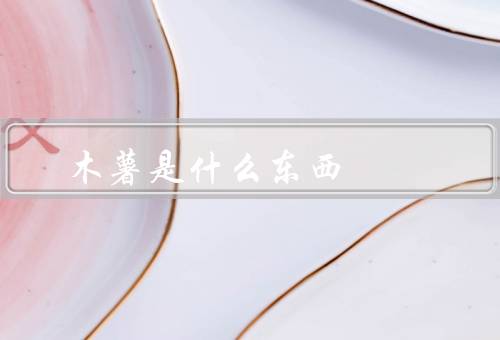 木薯是什么东西