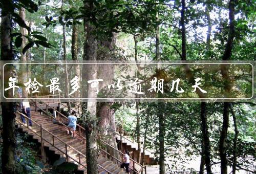 年检最多可以逾期几天 不可以逾期，重要性／时间规定