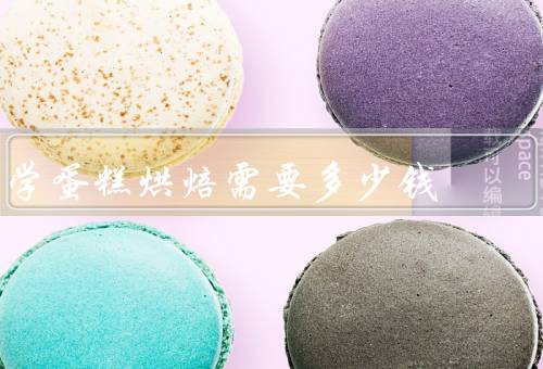 学蛋糕烘焙需要多少钱