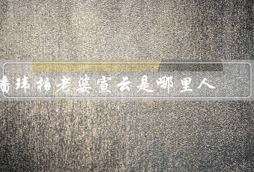 潘玮柏老婆宣云是哪里人