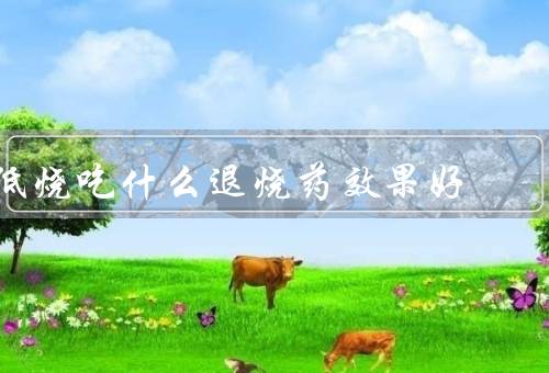 低烧吃什么退烧药效果好
