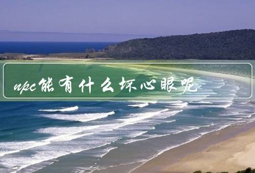 npc能有什么坏心眼呢