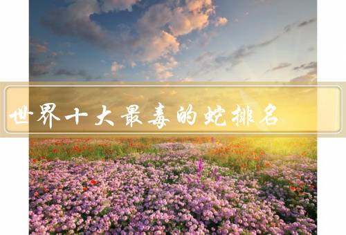 世界十大最毒的蛇排名