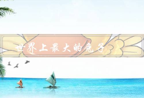 世界上最大的兔子