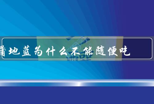 蒲地蓝为什么不能随便吃