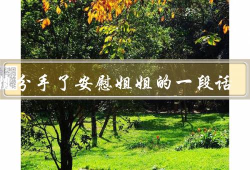 姐姐分手了安慰姐姐的一段话