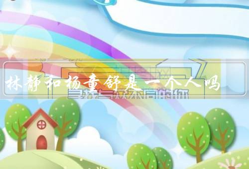 宋林静和杨童舒是一个人吗