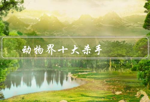 动物界十大杀手