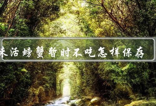 买来活螃蟹暂时不吃怎样保存
