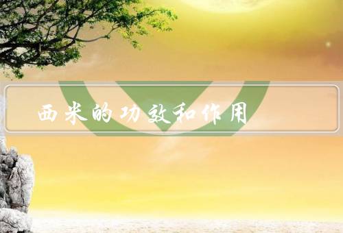 西米的功效和作用