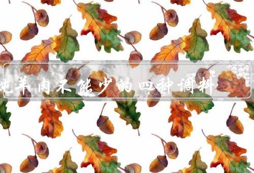 炖羊肉不能少的四种调料