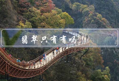 翡翠只有有吗