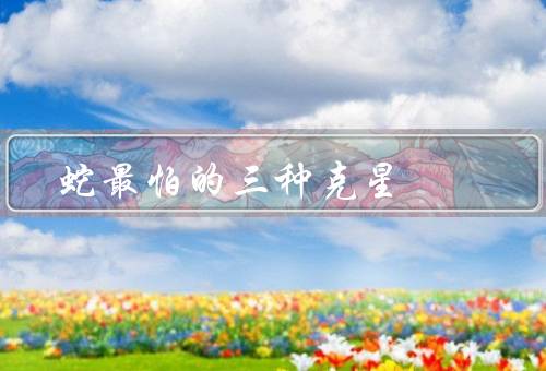 蛇最怕的三种克星